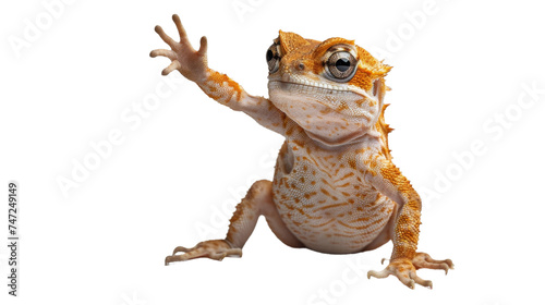 A sharply detailed orange frog reaching out, resembling a human greeting or an invitation