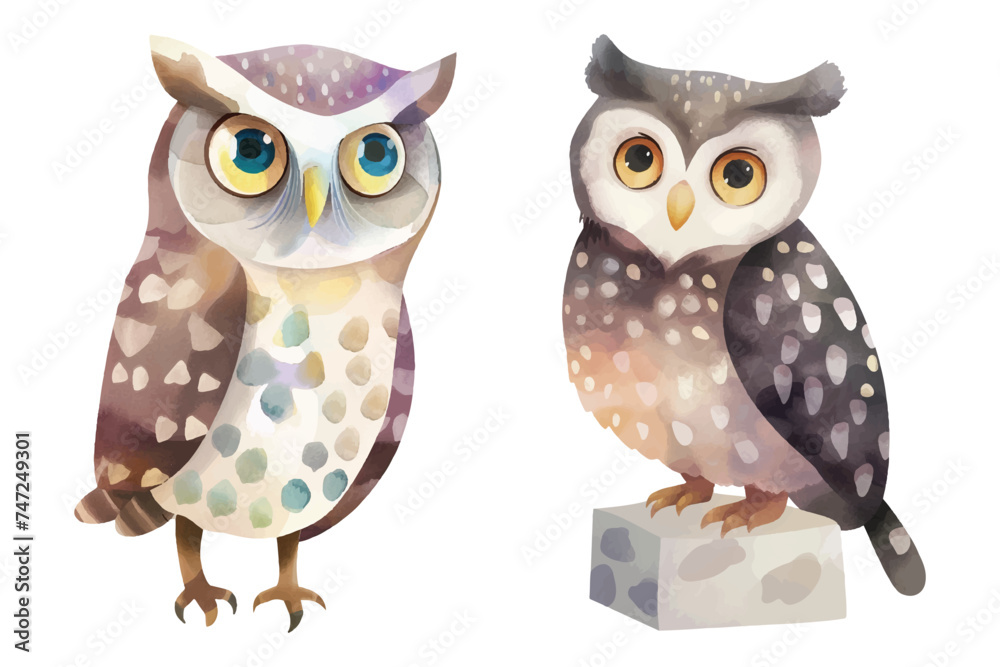 cute owl soft watercolour vector illustration cute owl soft watercolour vector illustration