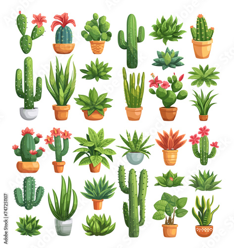 Cacti plants flat style isolated on white background. Houseplants, in pots, with flowers. Decorative botanic with and without thorns, detailed illustration, floral objects vector set