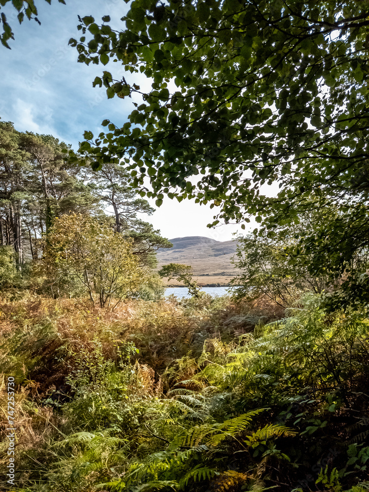 Lough Veagh, Glenveagh National Park - Donegal, Ireland