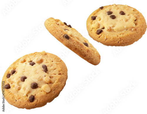 Chocolate Walnut Cookies. Walnut sandwich cookies sticked together with creamy rich dark chocolate fudge. . isolated on transparent background . PNG, cutout, or clipping path.	
