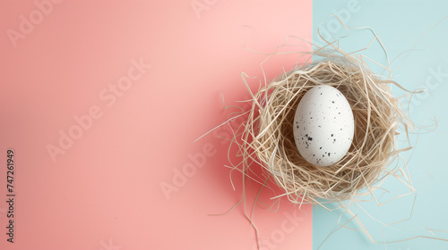 White Easter egg in a nest