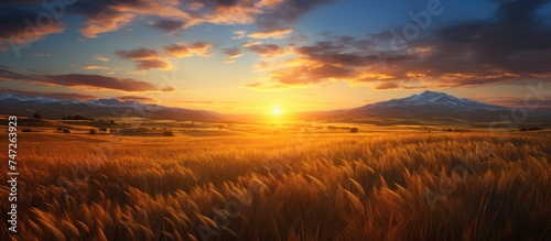 A painting depicting a vibrant sunset casting warm hues over a vast wheat field, with the golden grass swaying gently in the evening breeze. © AkuAku