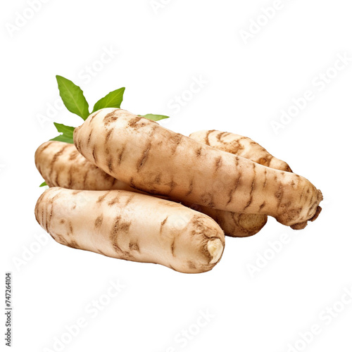  root on white background