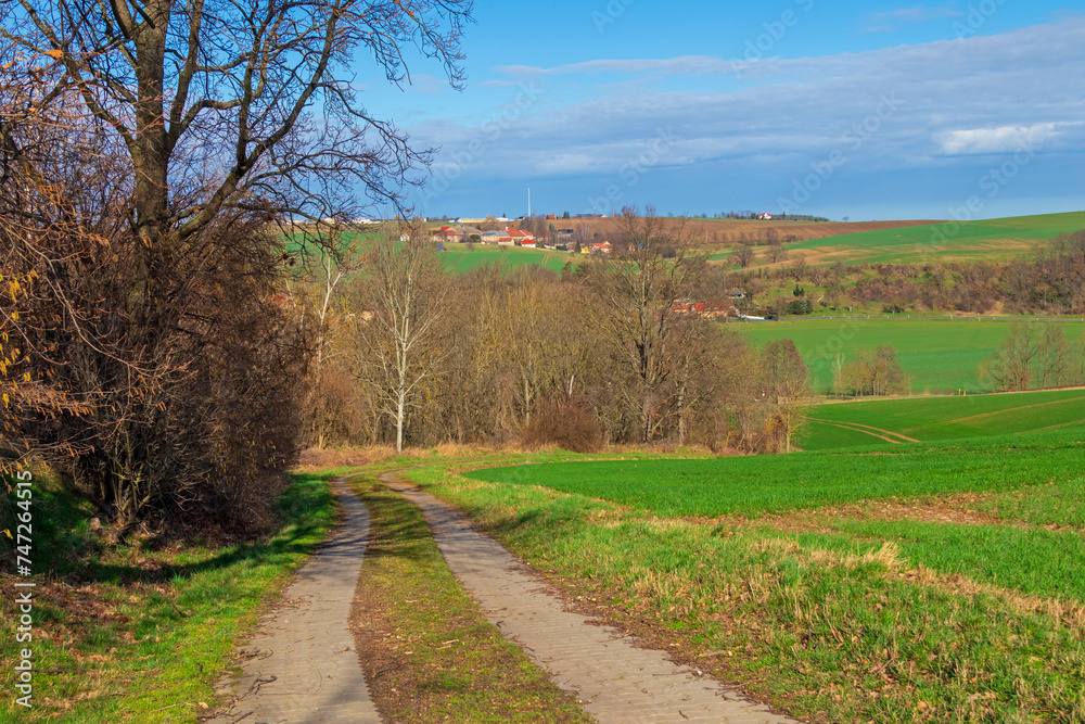 Elbe Mulde Radweg