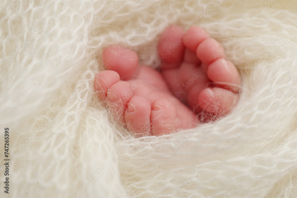 Obraz premium The tiny foot of a newborn baby. Soft feet of a new born in a wool white blanket. Close up of toes, heels and feet of a newborn. Macro photography.