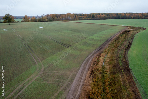 Drone photography of agriculture field and dividing line of trees during autumn morning