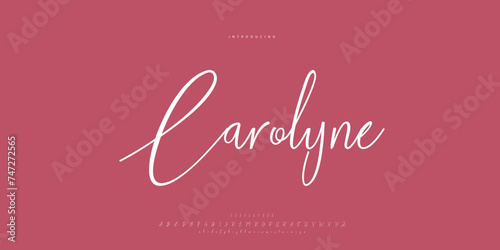 signature Font Calligraphy Logotype Script Brush Font Type Font lettering handwritten	