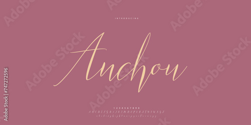 signature Font Calligraphy Logotype Script Brush Font Type Font lettering handwritten	