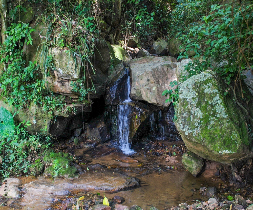 Obraz premium waterfall in the forest