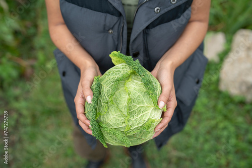 Mid section of woman holding homegrown cabbage in urban garden