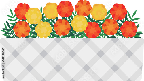 プランターに入った黄色とオレンジ色のマリーゴールドのイラスト