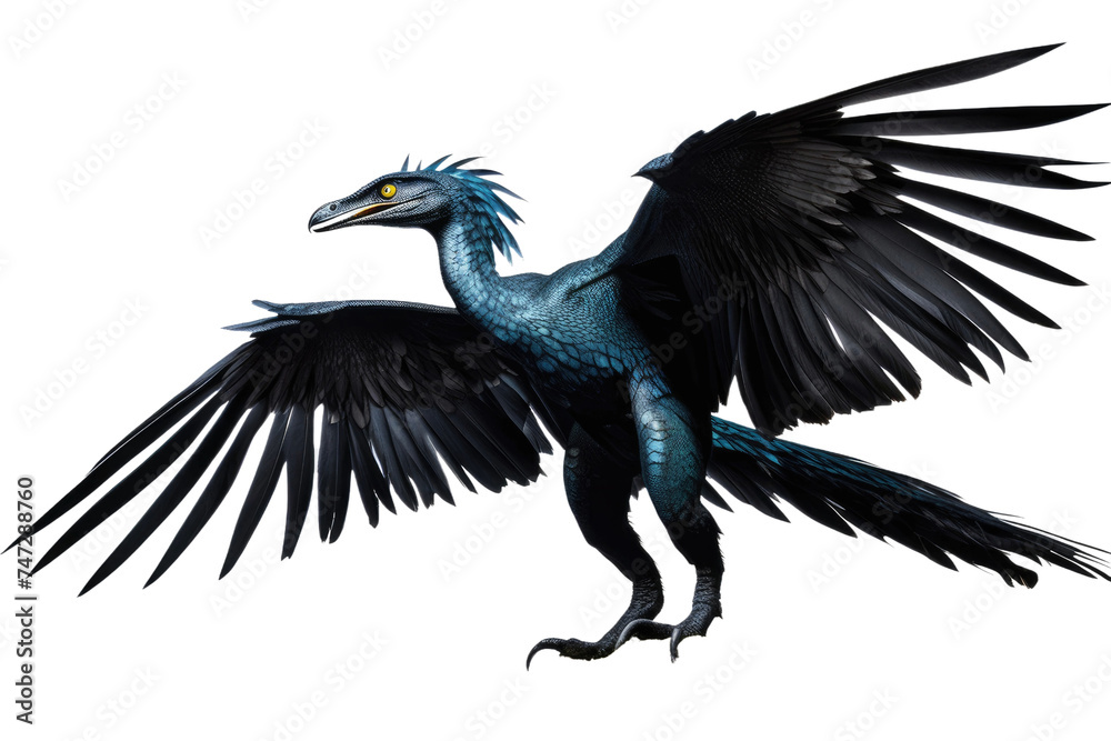 a high quality stock photograph of a Microraptor dinosaur full body isolated on a white background a high quality stock photograph of a Microraptor dinosaur full body isolated on a white background