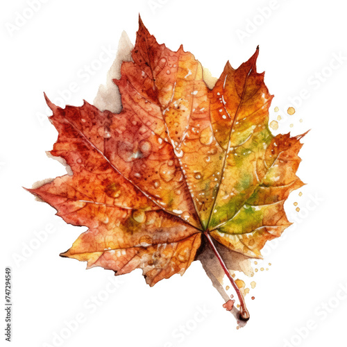 Autumn watercolour leaves