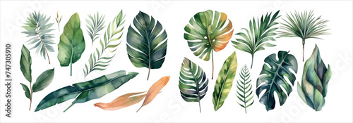 Collection of Beautifully Painted Tropical Leaves, Featuring Various Species and Colors, Ideal for Nature