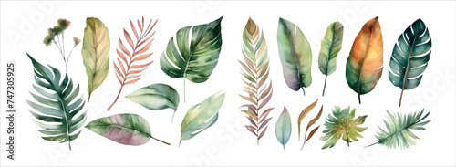 Watercolor Collection of Lush Greenery: Various Tropical and Domestic Leaves, Perfect for Elegant