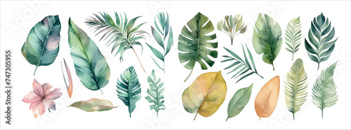 Watercolor Collection of Lush Greenery: Various Tropical and Domestic Leaves, Perfect for Elegant
