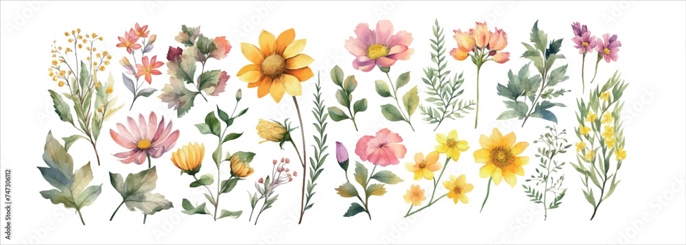 Elegant Collection of Hand-Painted Watercolor Flowers and Foliage, Perfect for Invitations, Decorations, and Art