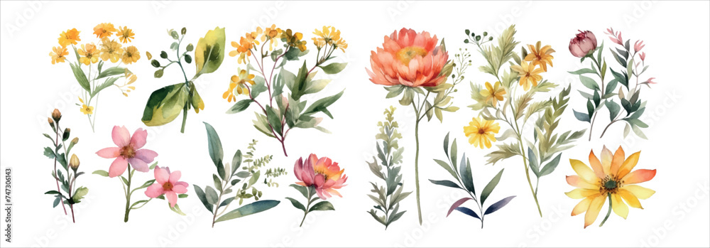 Elegant Collection of Hand-Painted Watercolor Flowers, Blossoms, and Foliage for Invitations, Decorations