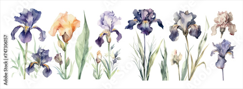 Elegant Watercolor Floral Arrangement Featuring Blooming Irises, Lavender, and Various Spring Flowers for Invitations photo