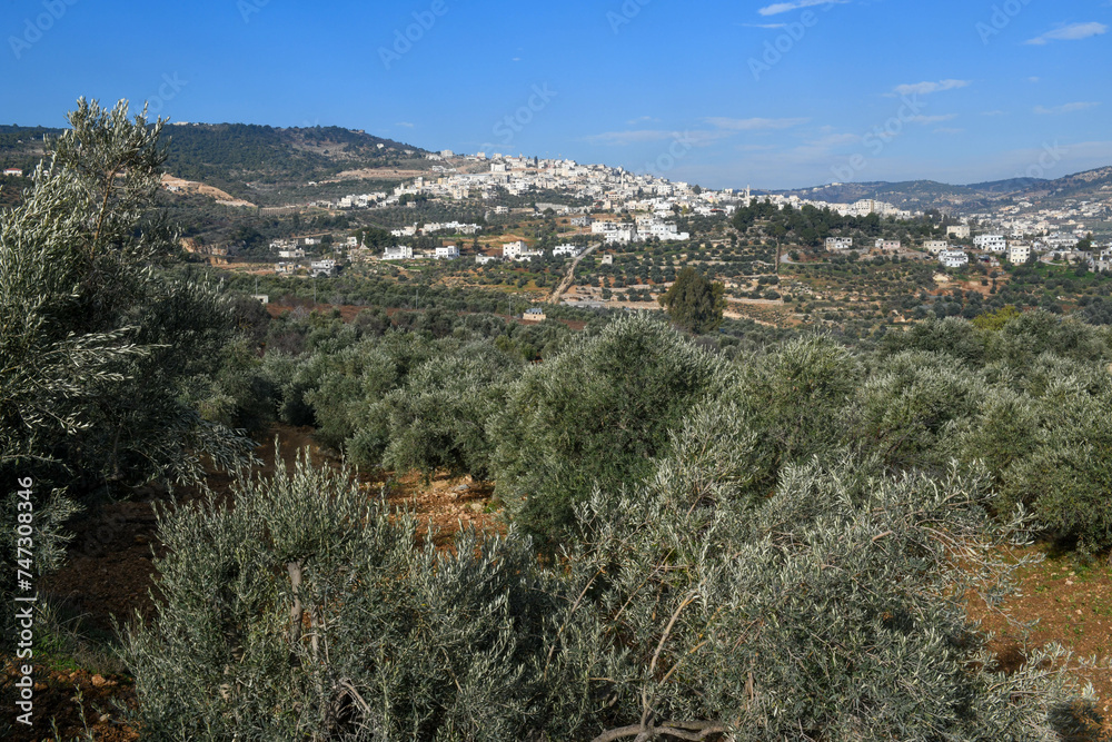 Landscape of hills near Jerash in Jordan