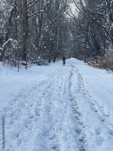 Fototapeta Naklejka Na Ścianę i Meble -  snow covered road
