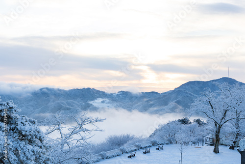 白い朝 © Shinta