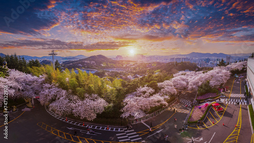 Panorama Cherry blossoms blooming in spring at E-World 83 Tower a popular tourist destination. in Daegu,South Korea.