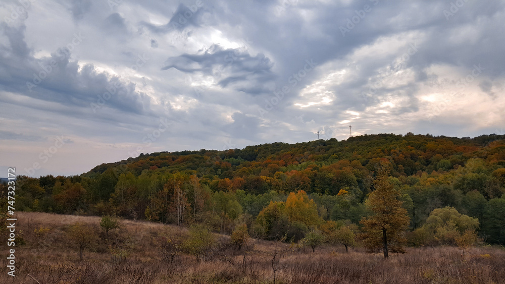 A beautiful autumn landscape with a huge colorful forest. Astonishing view into the woods colored in golden and yellow during fall season A beautiful autumn landscape with a huge colorful forest. Astonishing view into the woods colored in golden and yellow during fall season