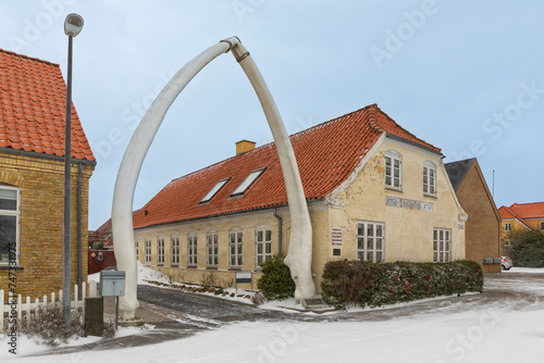 Jaws from a blue whale at the village of Hals, Denmark