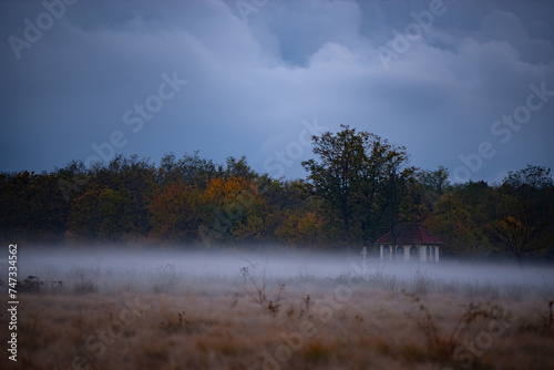Fototapeta Naklejka Na Ścianę i Meble -  Landscape with fog at dusk. An open field at the edge of the forest during a dark evening after rain