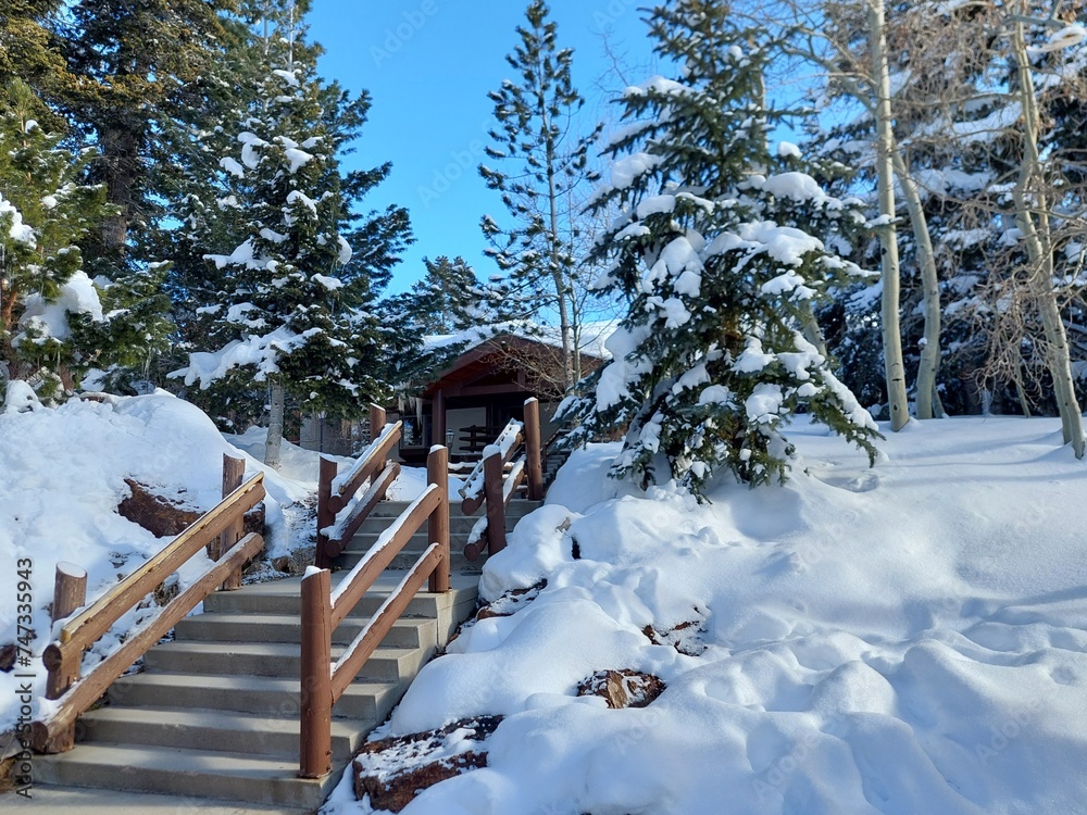 Stairway in the snow