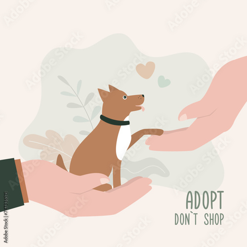 Adopt friend, don't shop. Adorable dog sitting on hand. Pet adoption. Animal care, adoption. Help homeless animals find home concept. Volunteer hand give lonely pet for an new owner.