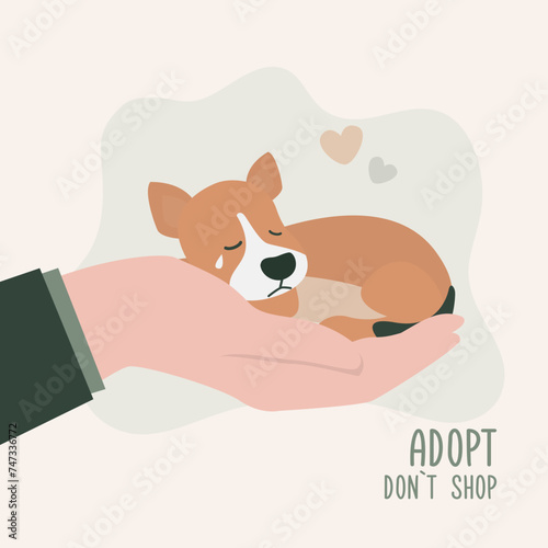 Pet adoptation. Animal care, adoption. Help homeless animals find home concept. Volunteer hand holds lonely pet waiting for an owner. vector