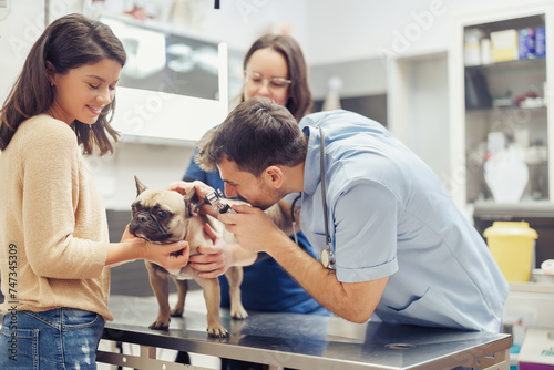 Pet health examination