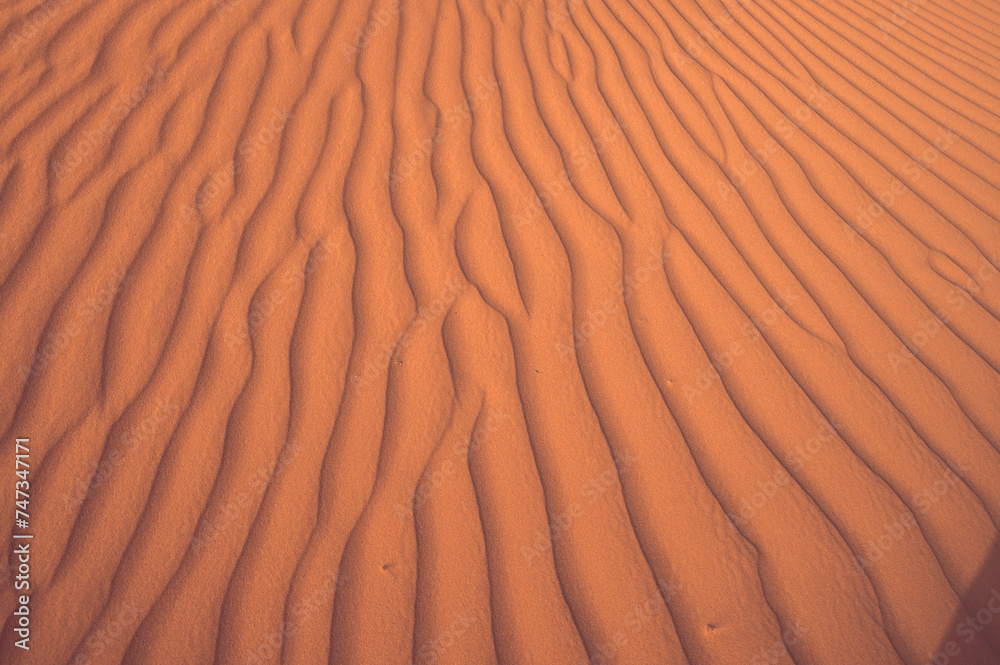 sand dunes in the desert