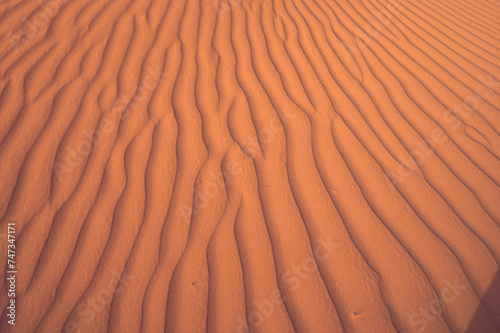 sand dunes in the desert