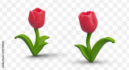 Red tulip in plasticine style. Set of vector realistic objects in different positions #747348163
