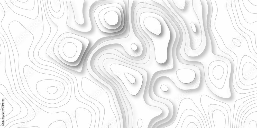 Black and white landscape geographic pattern. The stylized height of the topographic map in contour, lines. Topography and geography map grid abstract backdrop. creative cartography illustration.