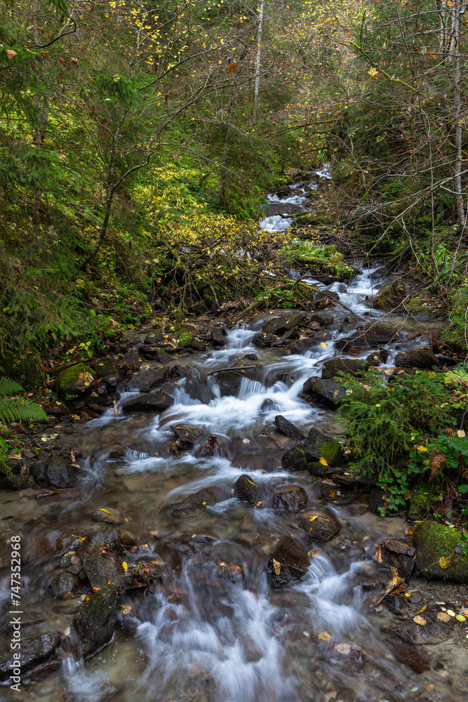 Am Haselbach bei Hart nähe Fügen im Zillertal, Tirol, Österreich