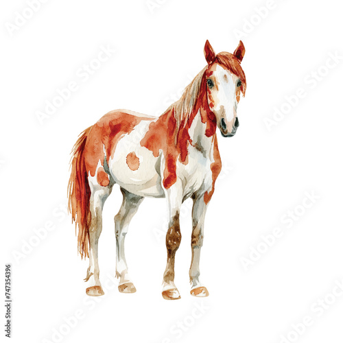Cute horse vector illustration in watercolour style