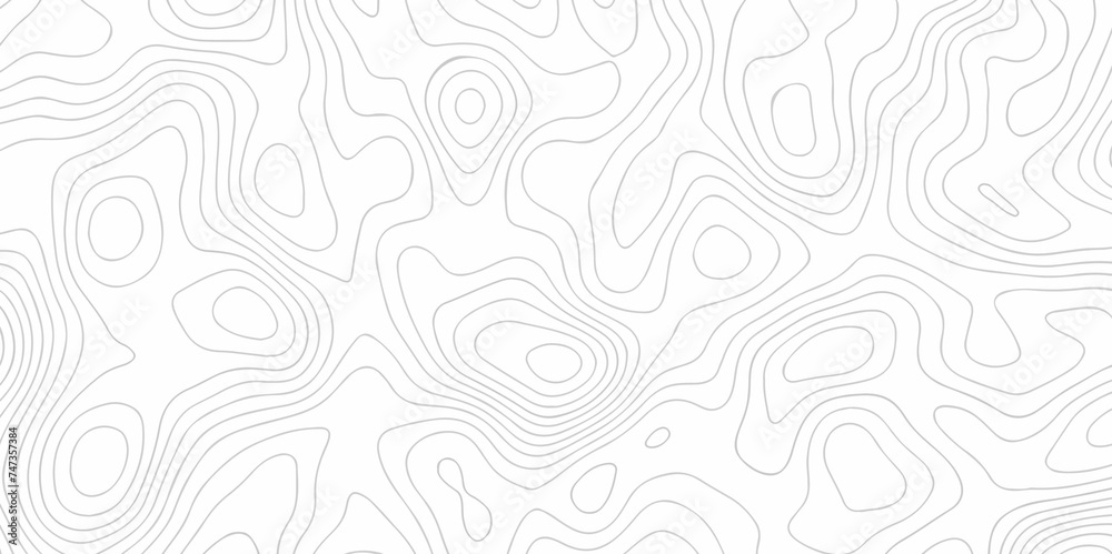 The stylized height of the topographic map in contour, lines. Topography and geography map grid abstract backdrop. creative cartography illustration. Black and white landscape geographic pattern. - obrazy, fototapety, plakaty 