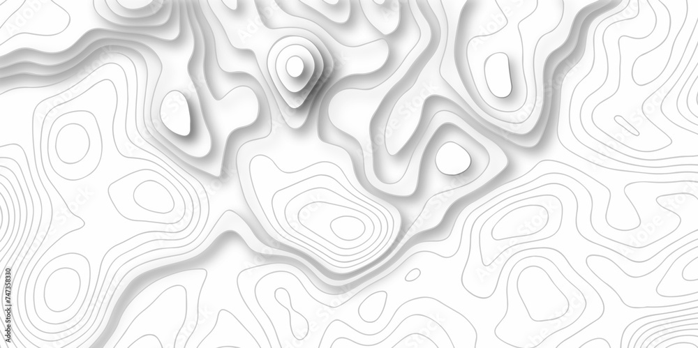 The stylized height of the topographic map in contour, lines. Topography and geography map grid abstract backdrop. creative cartography illustration. Black and white landscape geographic pattern. The stylized height of the topographic map in contour, lines. Topography and geography map grid abstract backdrop. creative cartography illustration. Black and white landscape geographic pattern.