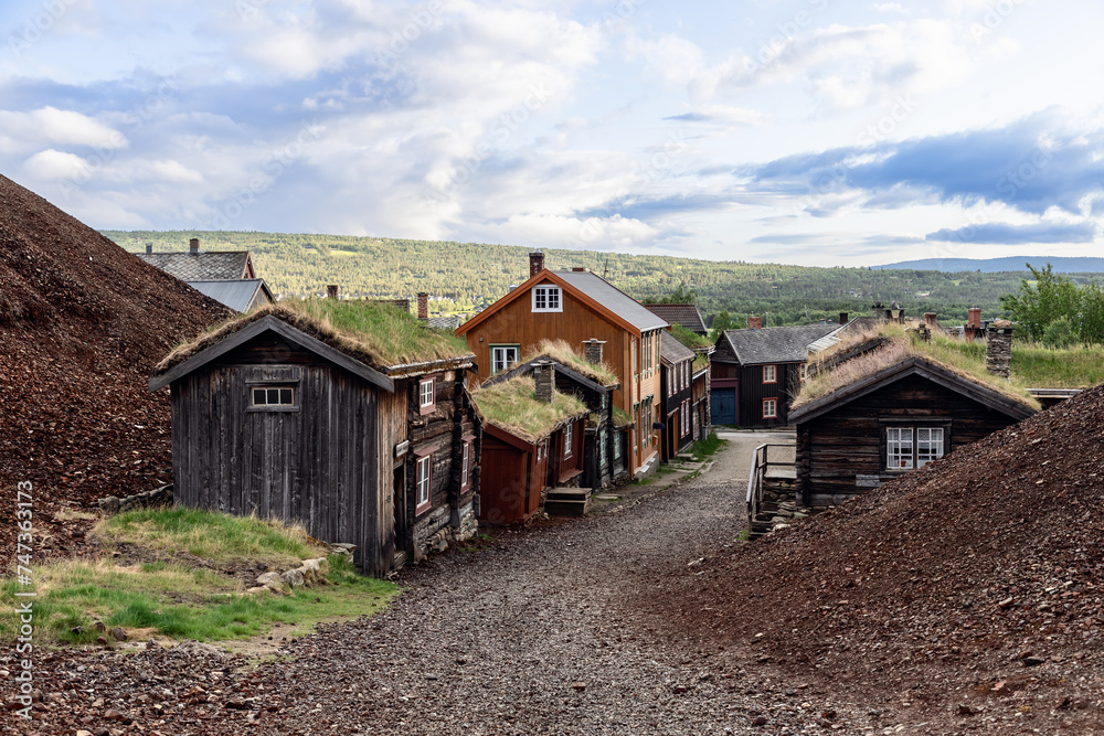 A tranquil street in Roros lined with traditional Norwegian houses, their grass roofs merging seamlessly with the hillside, under a vast, open sky