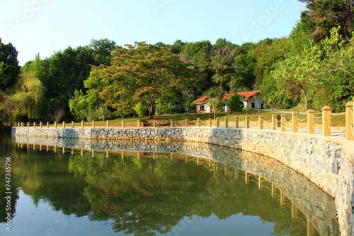 A small lake in the forest, Belgrade forest, Sariyer, Istanbul.