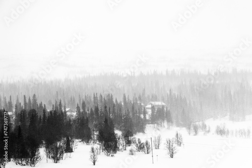 Snowy Splendor: Stunning Wilderness Landscape in Daylight, Sweden in Northern Europe