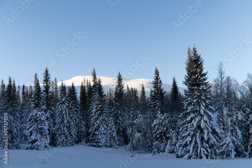 Swedish Winter Wonderland: Snowy Forest with Majestic Mountain at Sunrise in Northern Europe
