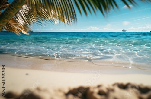 a beach beach with palm trees and water
