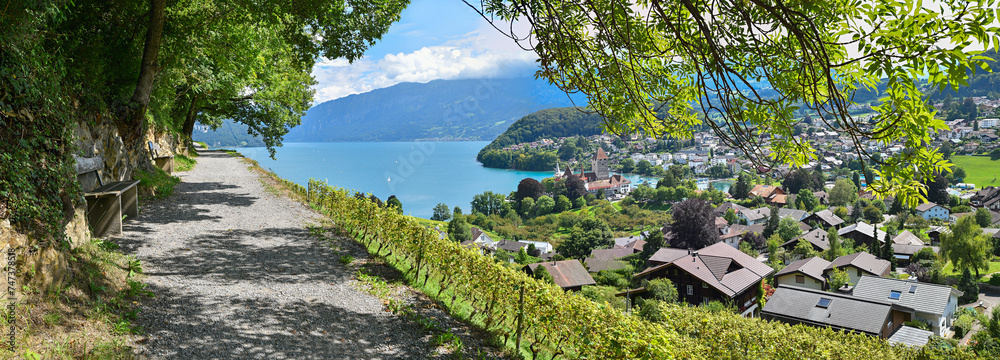 idyllic hiking trail above Rebberg vineyard, view to historic castle Spiez and lake Thunersee, recreational place switzerland