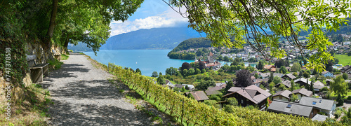 idyllic hiking trail above Rebberg vineyard  view to historic castle Spiez and lake Thunersee  recreational place switzerland